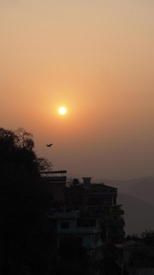 Natures Treat Tansen